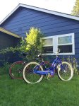 Blue Cottage has Bikes
